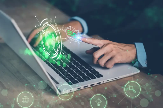 Sustentabilidade: entenda o que é, importância e exemplos